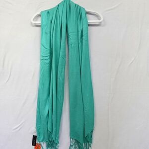 NWT APT. 9 Wide Scarf Green Blue Wraps Shawl Ski Fringe Skiing Winter Warm Cozy